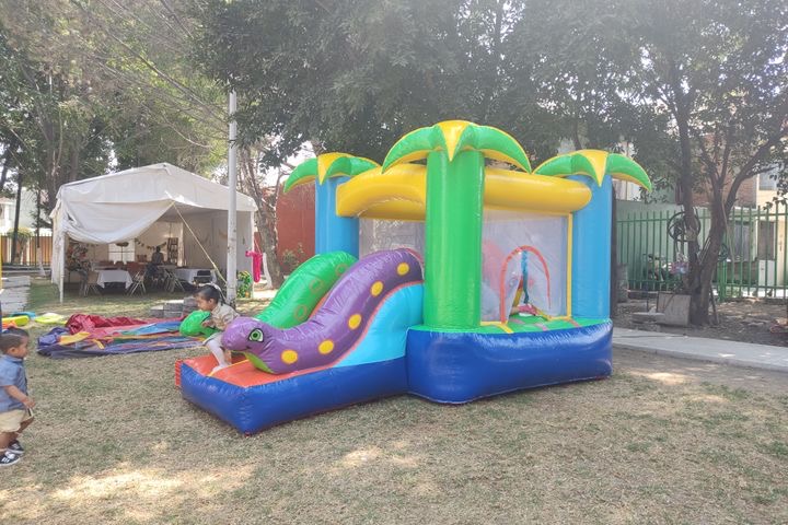 Renta Inflable de Jungla en CDMX y Edomex — Mini Jungla